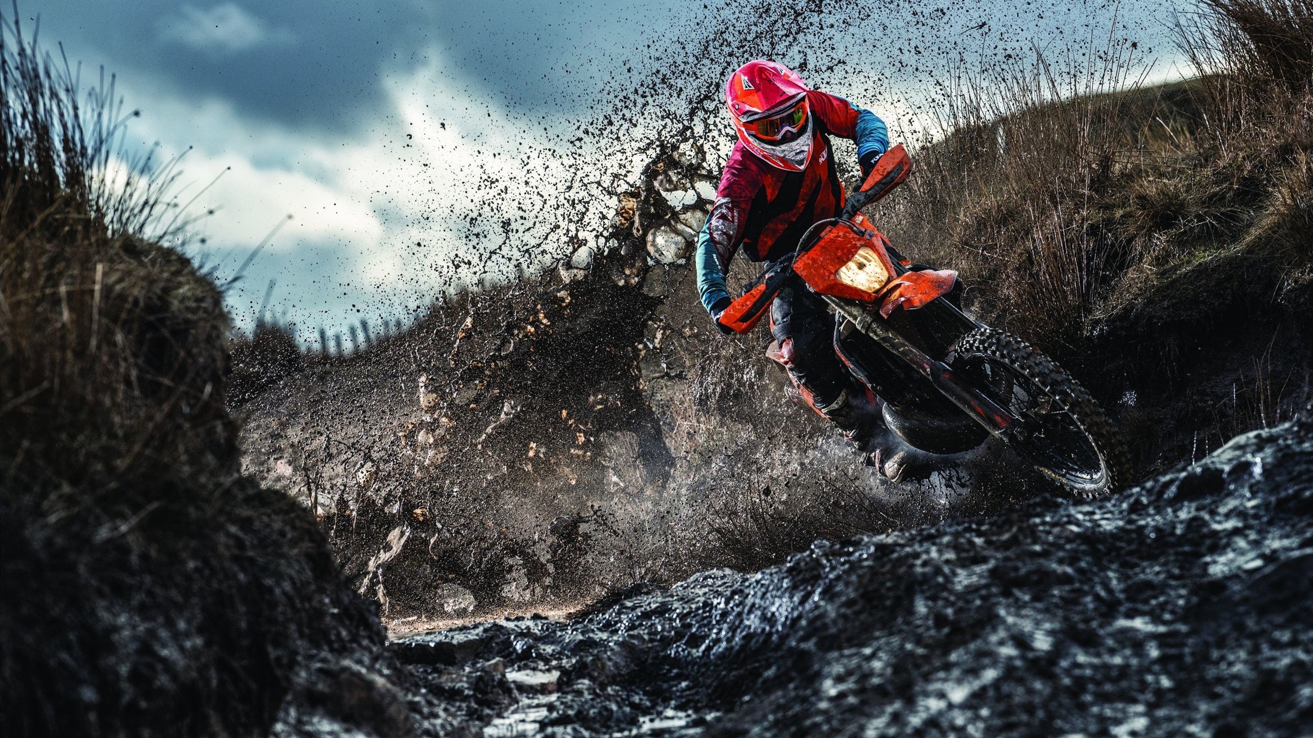 开云网页版-F1赛场惊险逆袭，索伯车队险胜哈斯，拉塞尔关键一击定乾坤